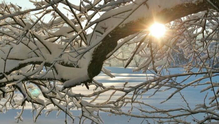 Как выбрать правильный термометр?